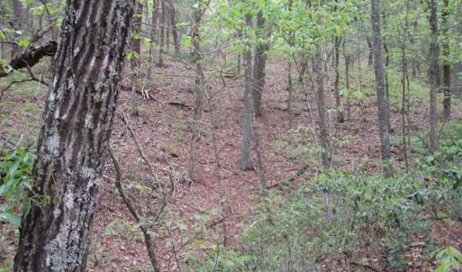 Photo of SOLD!!  42 Acres of Residential and Recreational Land for Sale in Alleghany County VA!