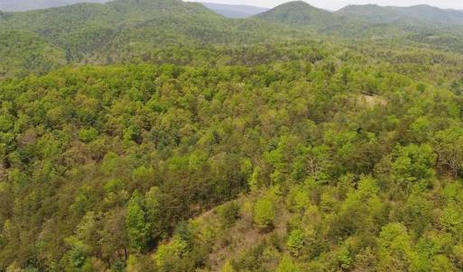 Photo of SOLD!!  42 Acres of Residential and Recreational Land for Sale in Alleghany County VA!