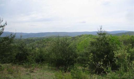 Photo of SOLD!!  42 Acres of Residential and Recreational Land for Sale in Alleghany County VA!