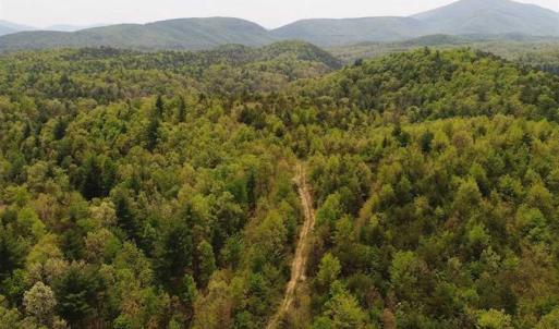 Photo of SOLD!!  42 Acres of Residential and Recreational Land for Sale in Alleghany County VA!