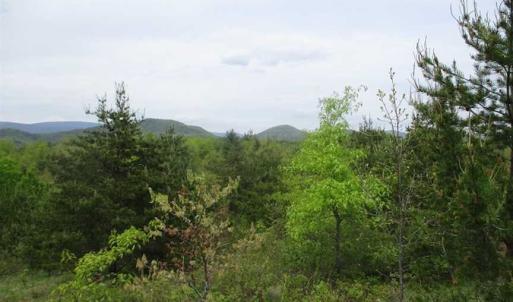 Photo of SOLD!!  42 Acres of Residential and Recreational Land for Sale in Alleghany County VA!
