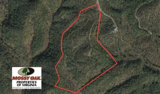 Photo of SOLD!!  42 Acres of Residential and Recreational Land for Sale in Alleghany County VA!