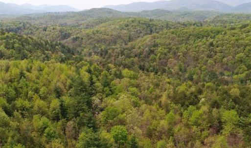 Photo of SOLD!!  42 Acres of Residential and Recreational Land for Sale in Alleghany County VA!