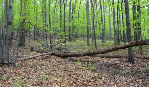 Photo of UNDER CONTRACT!  6.01 Acres of Residential Land For Sale in Frederick County VA!