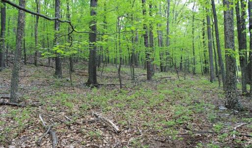 Photo of UNDER CONTRACT!  6.01 Acres of Residential Land For Sale in Frederick County VA!