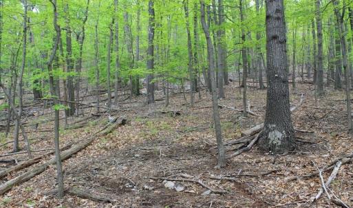 Photo of UNDER CONTRACT!  6.01 Acres of Residential Land For Sale in Frederick County VA!