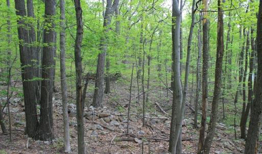 Photo of UNDER CONTRACT!  6.01 Acres of Residential Land For Sale in Frederick County VA!