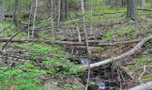 Photo of UNDER CONTRACT!  6.01 Acres of Residential Land For Sale in Frederick County VA!