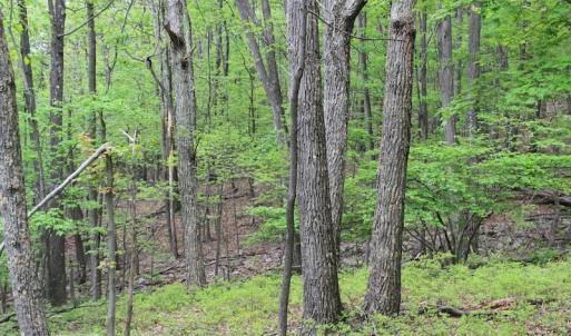 Photo of UNDER CONTRACT!  6.01 Acres of Residential Land For Sale in Frederick County VA!