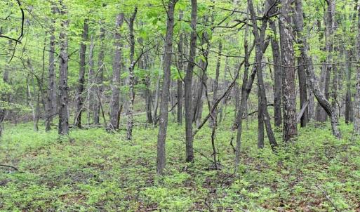 Photo of UNDER CONTRACT!  6.01 Acres of Residential Land For Sale in Frederick County VA!