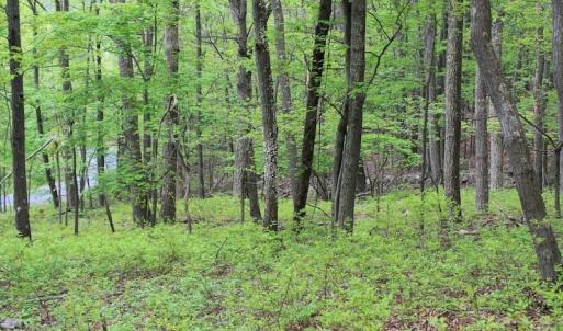 Photo of UNDER CONTRACT!  6.01 Acres of Residential Land For Sale in Frederick County VA!