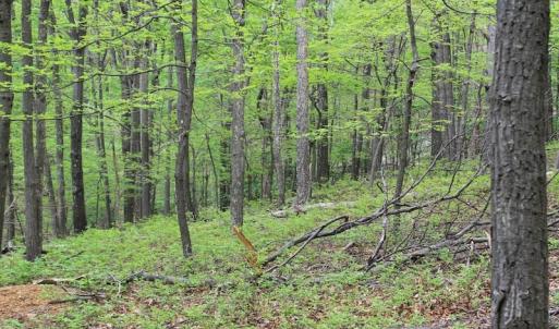 Photo of UNDER CONTRACT!  6.01 Acres of Residential Land For Sale in Frederick County VA!