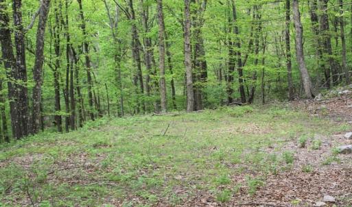 Photo of UNDER CONTRACT!  6.01 Acres of Residential Land For Sale in Frederick County VA!