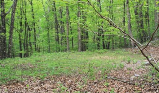 Photo of UNDER CONTRACT!  6.01 Acres of Residential Land For Sale in Frederick County VA!