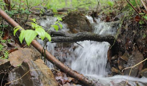 Photo of UNDER CONTRACT!  6.01 Acres of Residential Land For Sale in Frederick County VA!