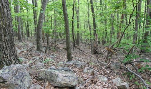 Photo of UNDER CONTRACT!  6.01 Acres of Residential Land For Sale in Frederick County VA!