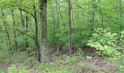 Photo of UNDER CONTRACT!  6.01 Acres of Residential Land For Sale in Frederick County VA!