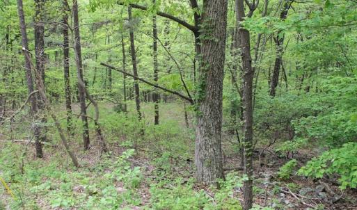 Photo of UNDER CONTRACT!  6.01 Acres of Residential Land For Sale in Frederick County VA!