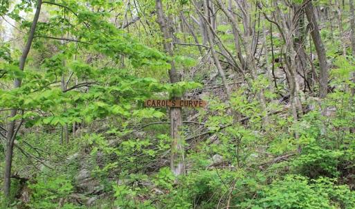 Photo of UNDER CONTRACT!  6.01 Acres of Residential Land For Sale in Frederick County VA!