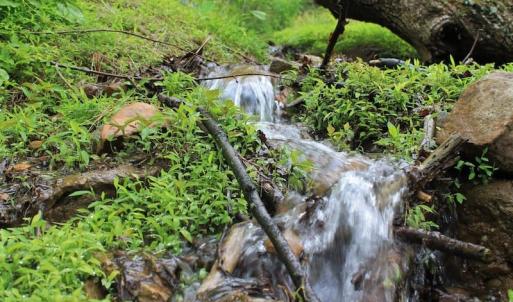 Photo of UNDER CONTRACT!  6.01 Acres of Residential Land For Sale in Frederick County VA!