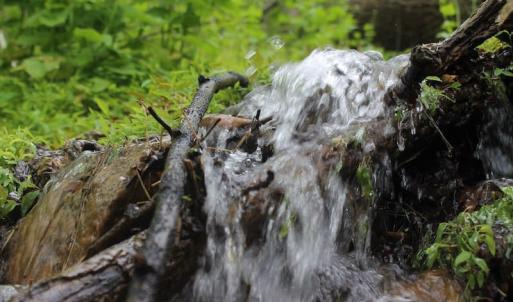 Photo of UNDER CONTRACT!  6.01 Acres of Residential Land For Sale in Frederick County VA!