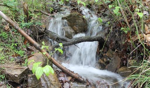 Photo of UNDER CONTRACT!  6.01 Acres of Residential Land For Sale in Frederick County VA!