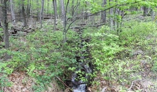 Photo of UNDER CONTRACT!  6.01 Acres of Residential Land For Sale in Frederick County VA!