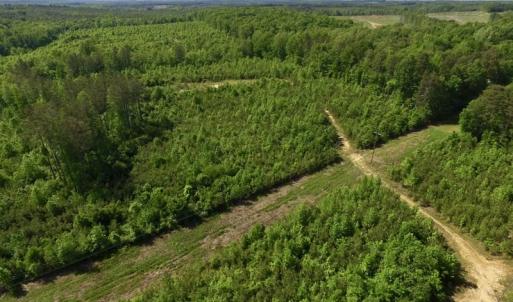 Photo of SOLD!! 83 Acres of Hunting and Recreational Land For Sale in Lunenburg County VA!