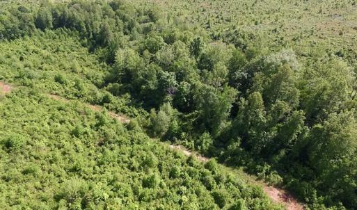 Photo of SOLD!! 83 Acres of Hunting and Recreational Land For Sale in Lunenburg County VA!