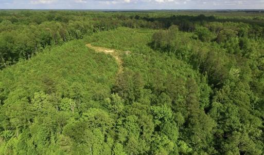 Photo of SOLD!! 83 Acres of Hunting and Recreational Land For Sale in Lunenburg County VA!