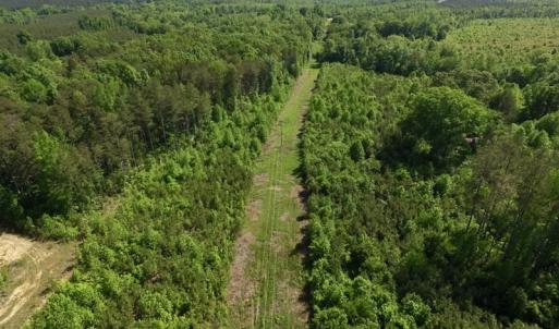 Photo of SOLD!! 83 Acres of Hunting and Recreational Land For Sale in Lunenburg County VA!