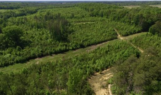 Photo of SOLD!! 83 Acres of Hunting and Recreational Land For Sale in Lunenburg County VA!