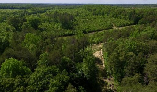 Photo of SOLD!! 83 Acres of Hunting and Recreational Land For Sale in Lunenburg County VA!