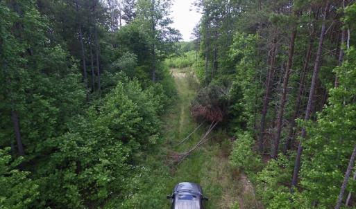 Photo of SOLD!! 83 Acres of Hunting and Recreational Land For Sale in Lunenburg County VA!