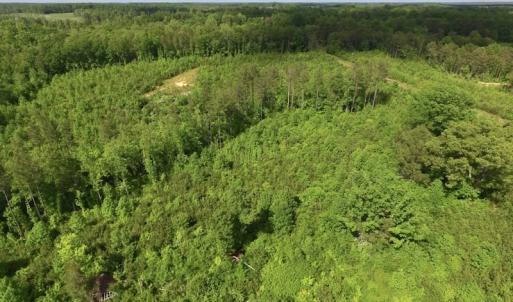 Photo of SOLD!! 83 Acres of Hunting and Recreational Land For Sale in Lunenburg County VA!
