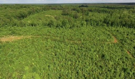 Photo of SOLD!! 83 Acres of Hunting and Recreational Land For Sale in Lunenburg County VA!