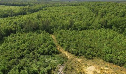 Photo of SOLD!! 83 Acres of Hunting and Recreational Land For Sale in Lunenburg County VA!