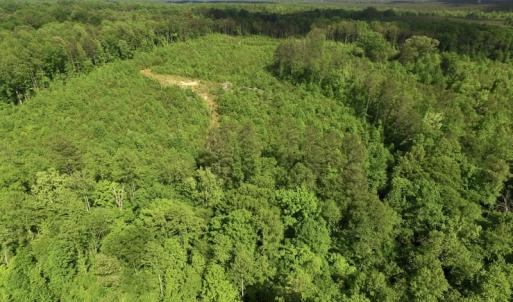 Photo of SOLD!! 83 Acres of Hunting and Recreational Land For Sale in Lunenburg County VA!