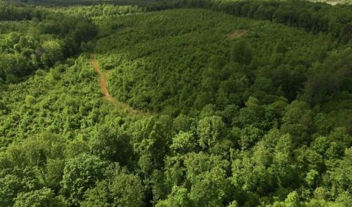 Photo of SOLD!! 83 Acres of Hunting and Recreational Land For Sale in Lunenburg County VA!