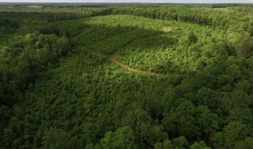 Photo of SOLD!! 83 Acres of Hunting and Recreational Land For Sale in Lunenburg County VA!