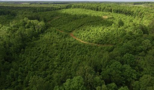 Photo of SOLD!! 83 Acres of Hunting and Recreational Land For Sale in Lunenburg County VA!
