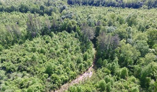 Photo of SOLD!! 83 Acres of Hunting and Recreational Land For Sale in Lunenburg County VA!