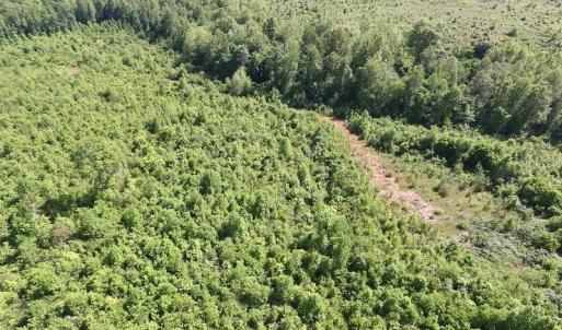 Photo of SOLD!! 83 Acres of Hunting and Recreational Land For Sale in Lunenburg County VA!