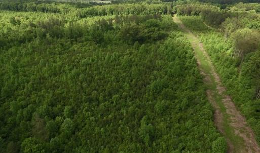 Photo of SOLD!! 83 Acres of Hunting and Recreational Land For Sale in Lunenburg County VA!