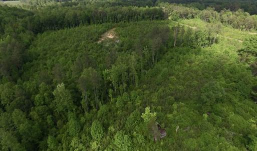 Photo of SOLD!! 83 Acres of Hunting and Recreational Land For Sale in Lunenburg County VA!