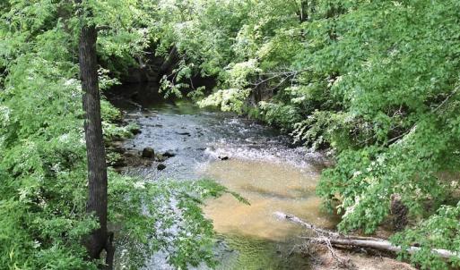 Photo of SOLD!! 83 Acres of Hunting and Recreational Land For Sale in Lunenburg County VA!