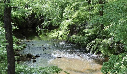 Photo of SOLD!! 83 Acres of Hunting and Recreational Land For Sale in Lunenburg County VA!