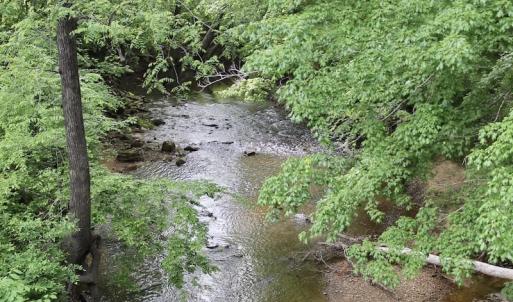 Photo of SOLD!! 83 Acres of Hunting and Recreational Land For Sale in Lunenburg County VA!