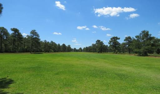 Photo of REDUCED!  155 Acres of Golf Course and Development Land For Sale in Horry County SC!