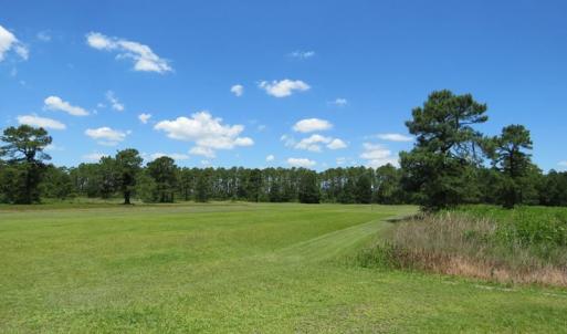 Photo of REDUCED!  155 Acres of Golf Course and Development Land For Sale in Horry County SC!